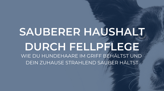 Sauberer Haushalt durch Fellpflege: Wie du Hundehaare im Griff behältst und dein Zuhause strahlend sauber hältst