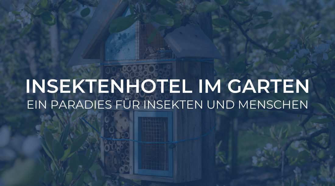 Insektenhotel im Garten: Ein Paradies für Insekten und Menschen