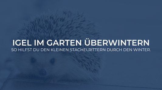 Igel im Garten überwintern: So hilfst Du den kleinen Stachelrittern durch den Winter