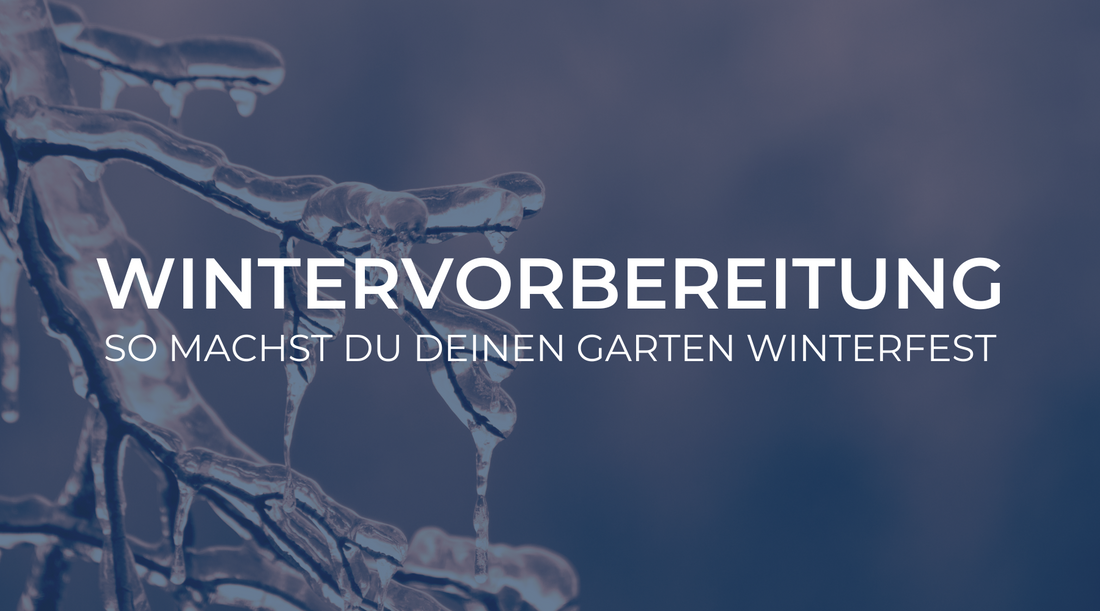 Wintervorbereitung: So machst du deinen Garten winterfest